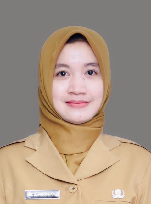 Umi Wahidah Hayati, S.Pd.